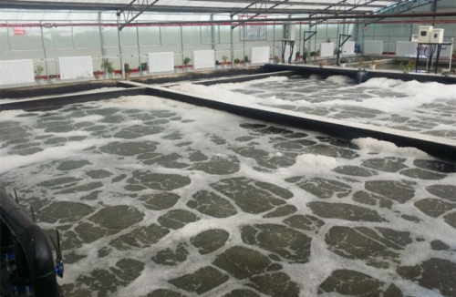 蘇凈填料助力青海某市政污水廠提標(biāo)改造順利完成