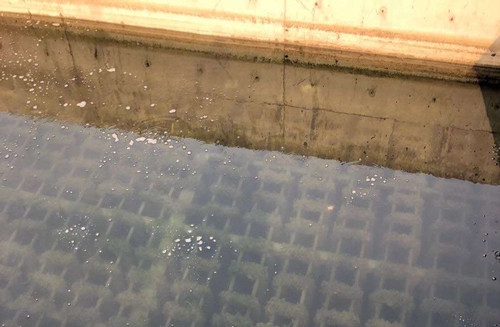 污水處理填料作用到底是什么？