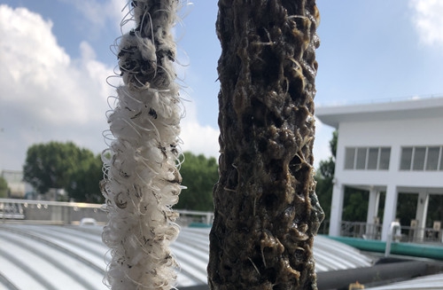 如何判斷辮帶式填料的掛膜情況呢？