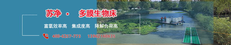 1710576404514358.png 多膜生物床探頭.png